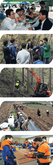 Delivering advanced forest management information and technology