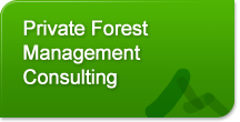 Private Forest Management Consulting